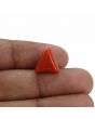 Red Coral (Moonga) - 6.93 Carat 