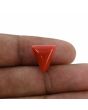 Red Coral (Moonga) - 6.93 Carat 