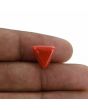 Red Coral (Moonga) - 7.03 Carat 