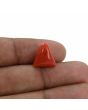 Red Coral (Moonga) - 6.83 Carat 