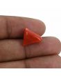 Red Coral (Moonga) - 6.83 Carat 