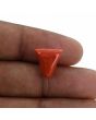 Red Coral (Moonga) - 6.83 Carat 
