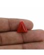 Red Coral (Moonga) - 6.52 Carat 