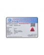 Red Coral (Moonga) - 6.52 Carat 
