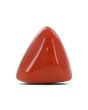 Red Coral (Moonga) - 8.41 Carat 