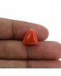 Red Coral (Moonga) - 8.41 Carat 