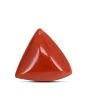 Red Coral (Moonga) Carat 3.57 