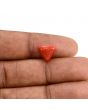 Red Coral (Moonga) Carat 3.57 