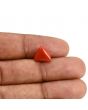 Red Coral (Moonga) Carat 3.57 