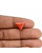 Red Coral (Moonga) Carat 4.15 