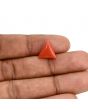 Red Coral (Moonga) Carat 4.15 