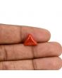Red Coral (Moonga) Carat 4.14 