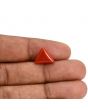 Red Coral (Moonga) Carat 4.14 