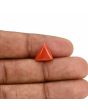 Red Coral (Moonga) Carat 3.59 