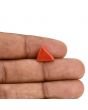 Red Coral (Moonga) Carat 3.59 
