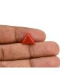 Red Coral (Moonga) Carat 4.08 