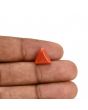 Red Coral (Moonga) Carat 3.91 