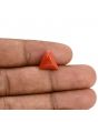 Red Coral (Moonga) Carat 4.26 