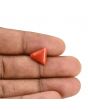 Red Coral (Moonga) Carat 4.26 