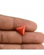 Red Coral (Moonga) Carat 4.24 