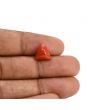 Red Coral (Moonga) Carat 4.36
