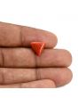 Red Coral (Moonga) Carat 4.36