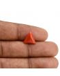 Red Coral (Moonga) Carat 3.79 