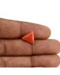 Red Coral (Moonga) Carat 3.77 