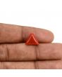 Red Coral (Moonga) Carat 4.1 