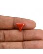 Red Coral (Moonga) Carat 4.1 
