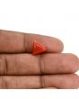 Red Coral (Moonga) Carat 3.59 