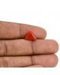 Red Coral (Moonga) Carat 3.59 