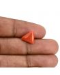 Red Coral (Moonga) Carat 3.58 