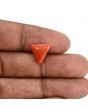 Red Coral (Moonga) Carat 3.58 