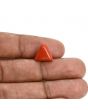 Red Coral (Moonga) Carat 3.81 