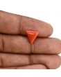 Red Coral (Moonga) Carat 3.67 