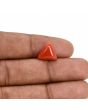 Red Coral (Moonga) Carat 4.41 