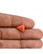 Red Coral (Moonga) Carat 3.64 