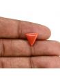 Red Coral (Moonga) Carat 3.64 