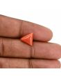 Red Coral (Moonga) Carat 4.01 