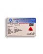 Red Coral (Moonga) Carat 4.01 