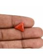 Red Coral (Moonga) Carat 3.8 