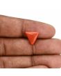 Red Coral (Moonga) Carat 4.23 