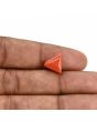 Red Coral (Moonga) Carat 4.19 