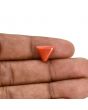 Red Coral (Moonga) Carat 4.19 