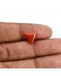 Red Coral (Moonga) Carat 3.82 