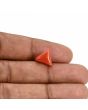 Red Coral (Moonga) Carat 3.57 