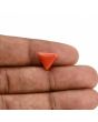 Red Coral (Moonga) Carat 3.57 