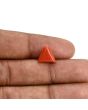 Red Coral (Moonga) Carat 3.97 