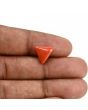 Red Coral (Moonga) Carat 4.08 